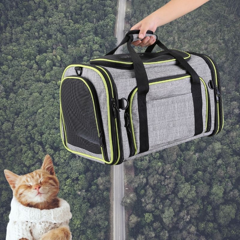 HundeJoy Premium Katzen-Tragetasche – Der sichere und stilvolle Begleiter für Ihre Reisen