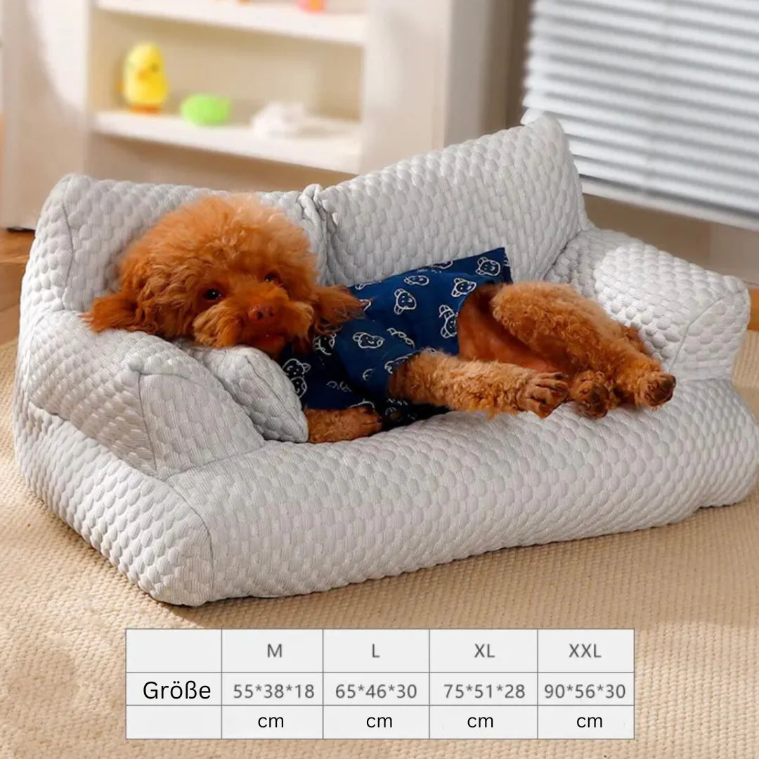 Erfrischende Hundecouch - Komfort und Kühlung in Einem