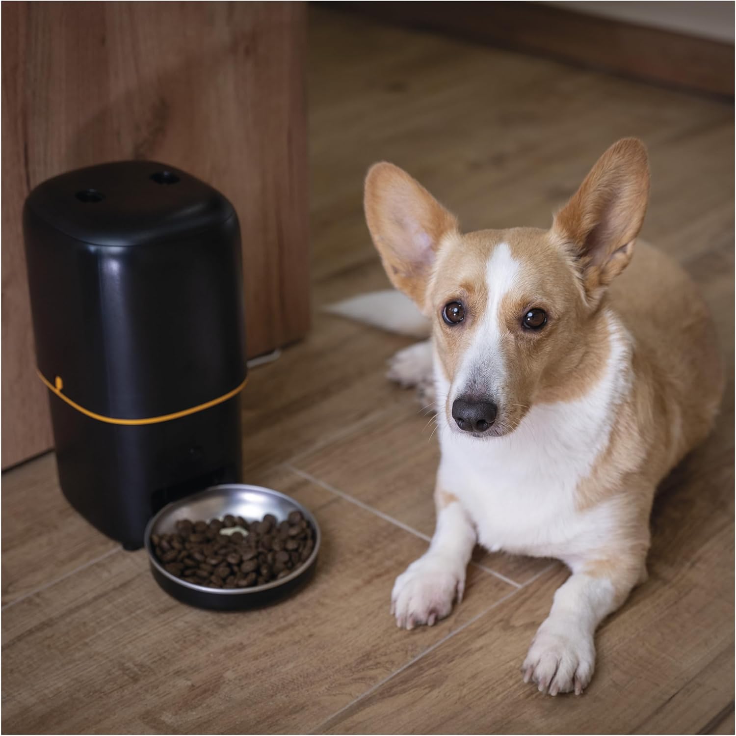 EMOS - GoSmart Futterautomat 6 l mit Kamera - WLAN Pet Care Futterspender mit App - Trockenfutter Automat für Katze & Hund mit Zeitplan, Sprachaufzeichnung, Dosierung 1–12 Mahlzeiten pro Tag - Schwarz