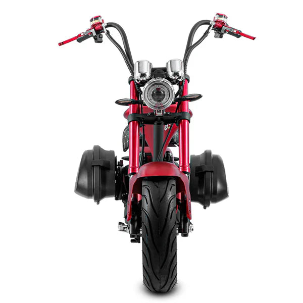 Borse laterali Citycoco – Borse laterali per scooter elettrici per modelli M1 e M8