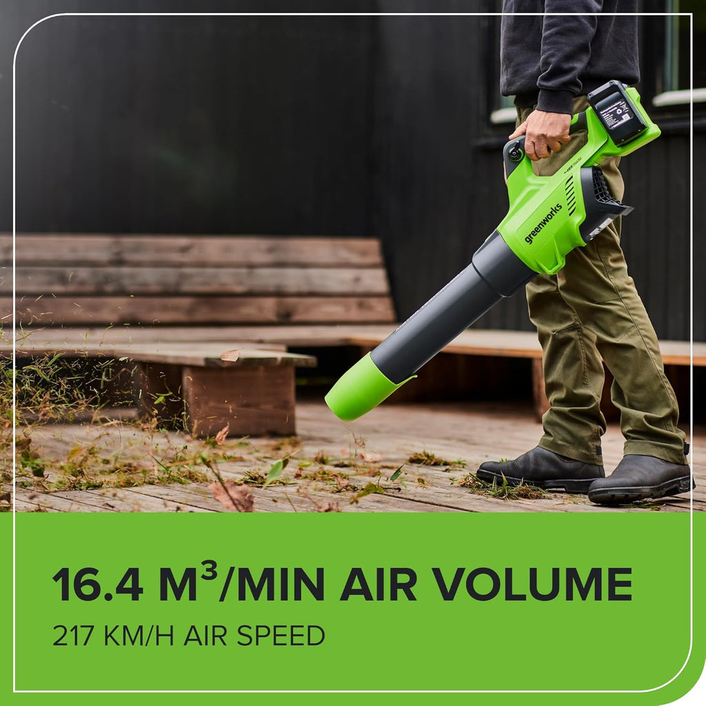 Greenworks Soffiatore assiale a batteria 48V (2x24V) con motore brushless, funzione turbo, 217 km/h, 16,4 m³/min, PIÙ due batterie da 24V 2Ah e caricabatterie, 3 anni di garanzia GD24X2ABK2X