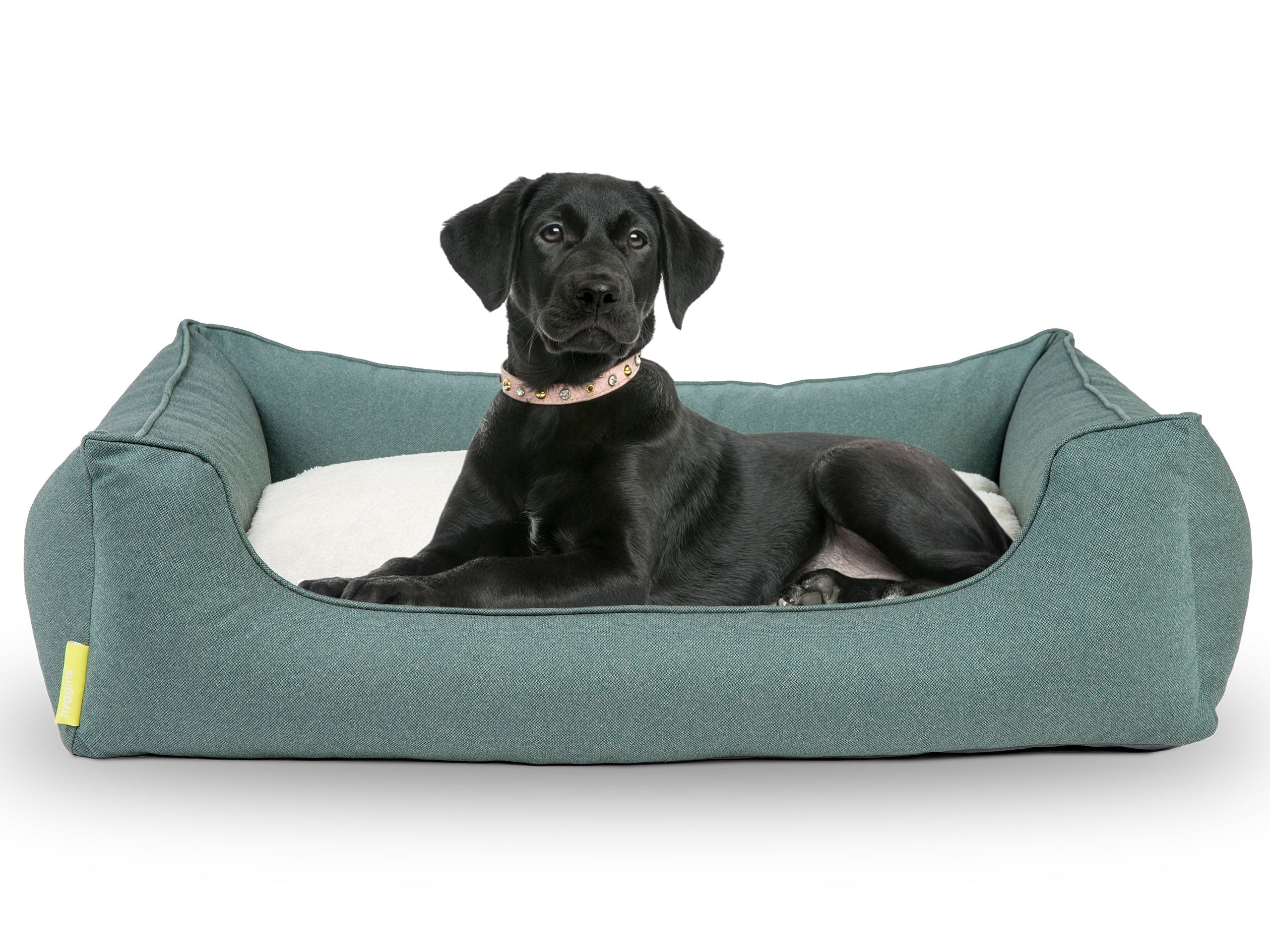 Dreamer Perfect Cuccia per Cani