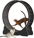 Keyzone Ruota per esercizi per gatti, 1100 x 345 x 1170 mm Tapis roulant per gatti, Tapis roulant con moquette, Attrezzatura fitness per la perdita di peso, Giocattolo sportivo per gatti, Per una vita più lunga del gatto