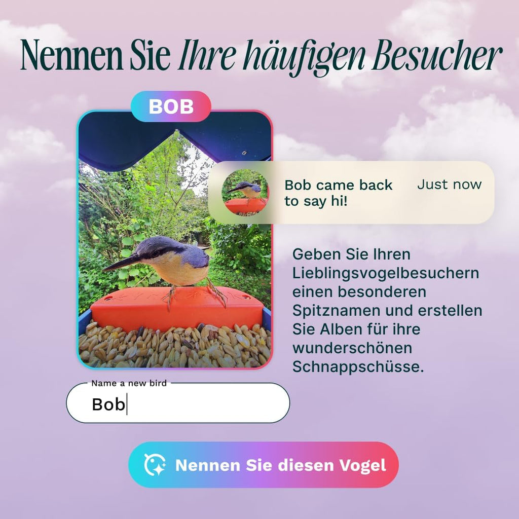 Bird Buddy Pro Solar Smart Vogelfutterstation mit Kamera – AI-Vogelarten-Identifikation, 5-MP-Fotos, 2K-Ultra-Video-Live-Stream-Kamera, Zeitlupenvideo, 6,6 cm Fokus – Blue Solar