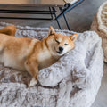 Dog Bed in Bone Shape – Soft Sleeping Nest for Comfort and Relaxation