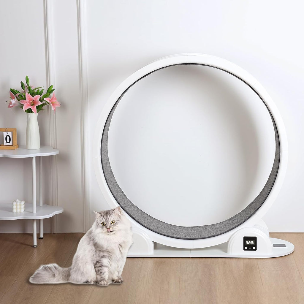 Utaxuper Ruota per gatti 110 cm ad energia solare con contatore Ruota gatti Ruota per gatti Cat Wheel per gatti piccoli gatti grandi interni Bianco