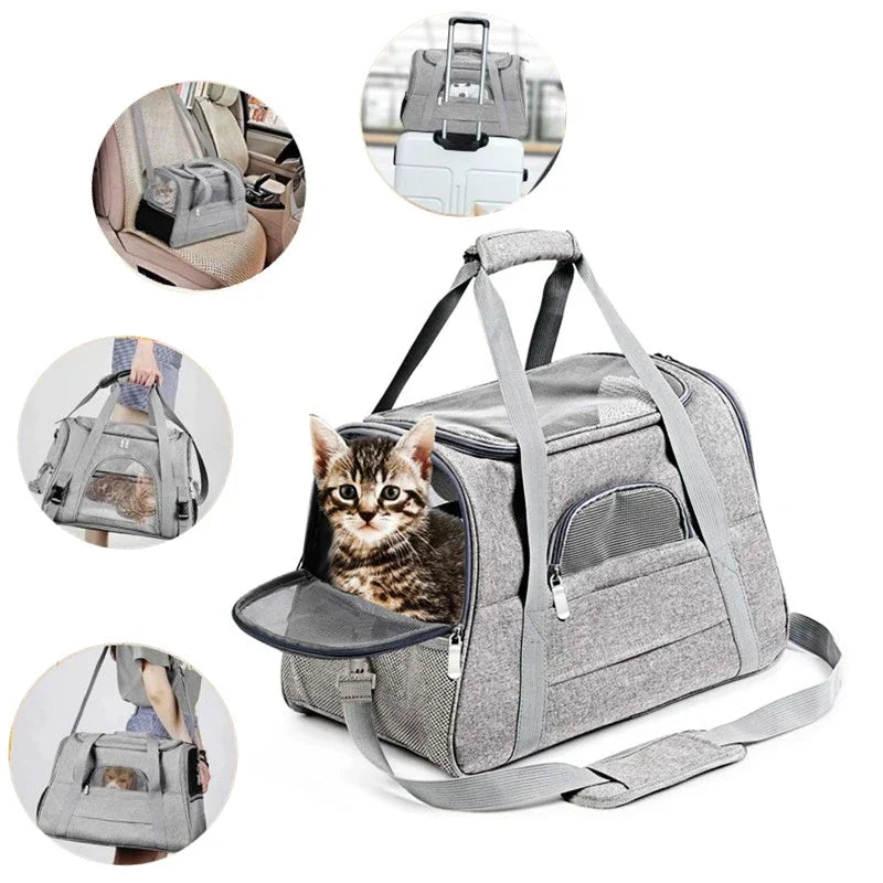 Robuste und Komfortable Transporttasche für Katzen – Ideal für Reisen und Ausflüge