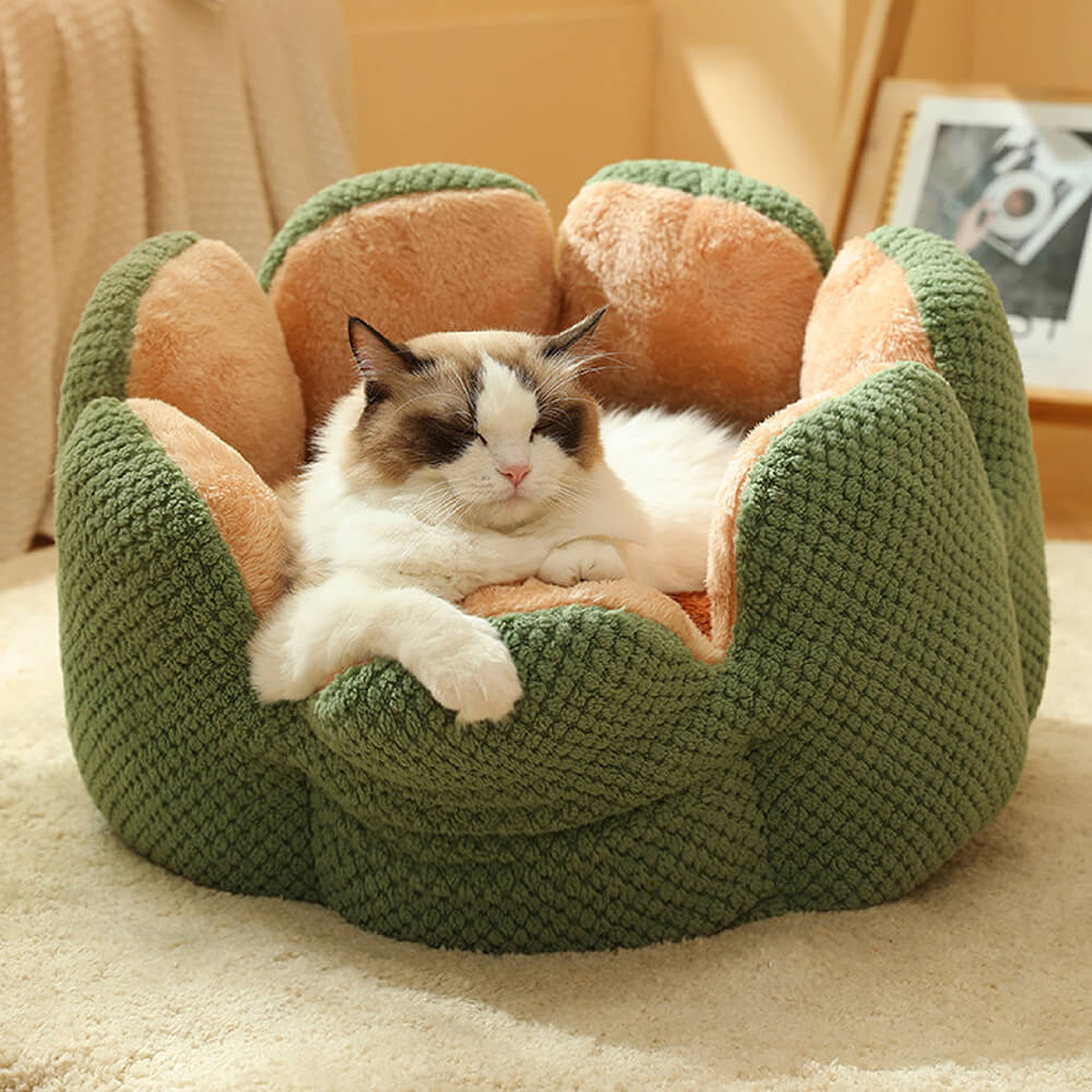 Il letto per animali domestici - Comoda cuccia per gatti a forma di cactus