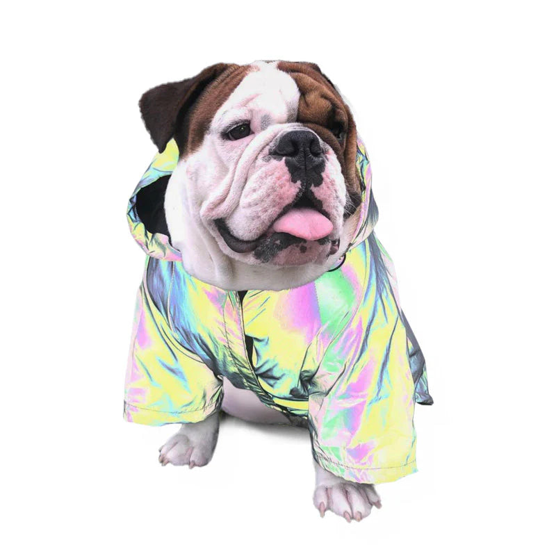 Reflektierende Hunde-Winterjacke mit Extra Wrmeisolierung – Ideal für kalte und dunkle Tage