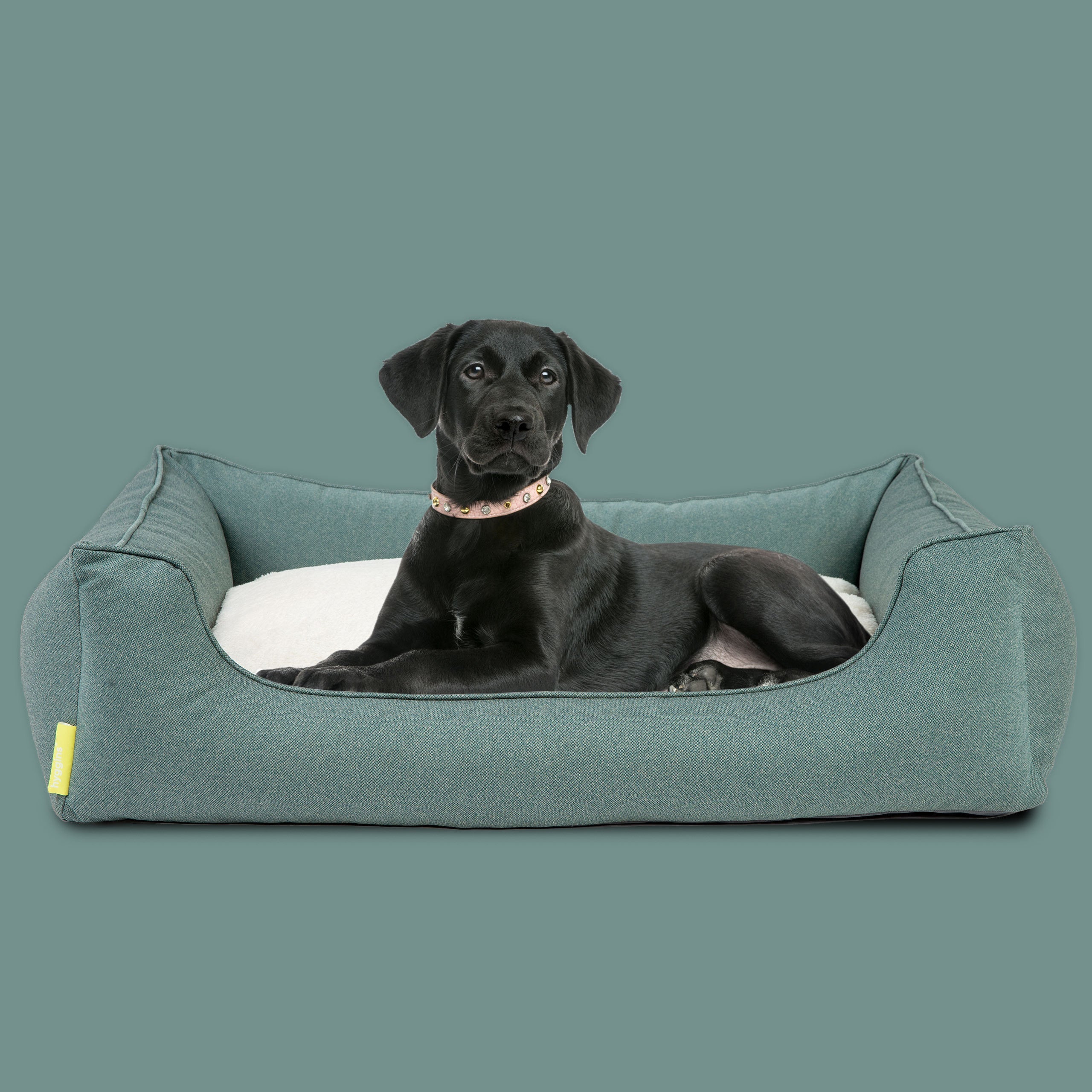 Dreamer Perfect Cuccia per Cani
