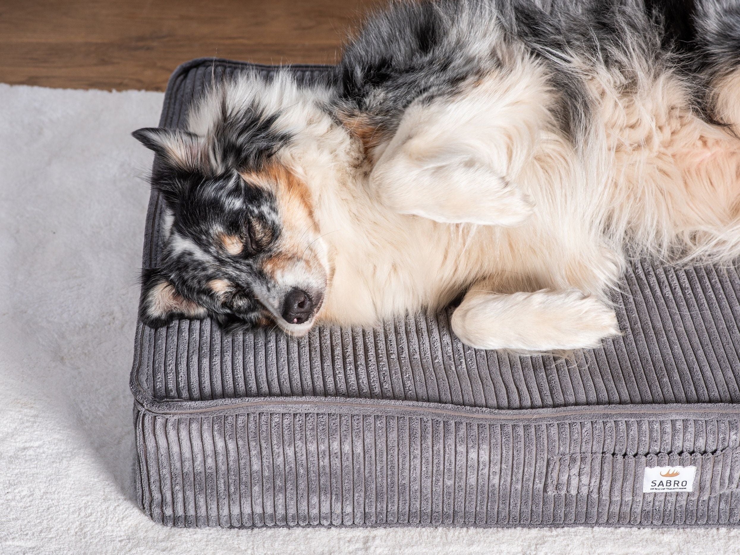 Cuscino per cani Sova