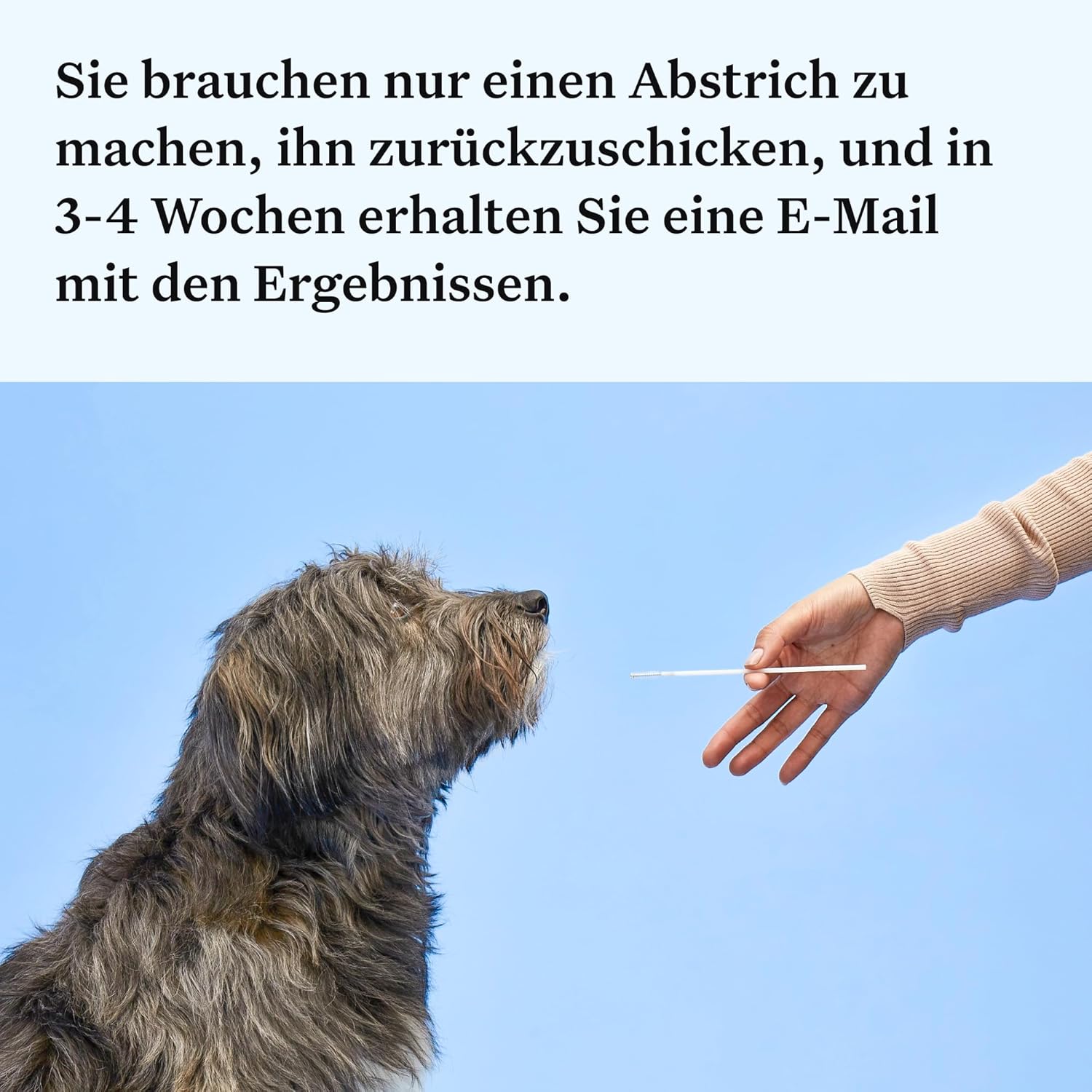 Wisdom Panel Essential Hunde DNA-Kollektorset