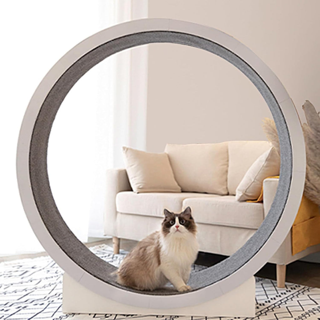 SKIHOT Ruota da corsa grande per gatti 120 cm, Ruota per gatti da appartamento, Giocattolo per esercizi indoor per gatti di piccola/media taglia, Tapis roulant per gatti