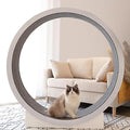 SKIHOT Ruota da corsa grande per gatti 120 cm, Ruota per gatti da appartamento, Giocattolo per esercizi indoor per gatti di piccola/media taglia, Tapis roulant per gatti
