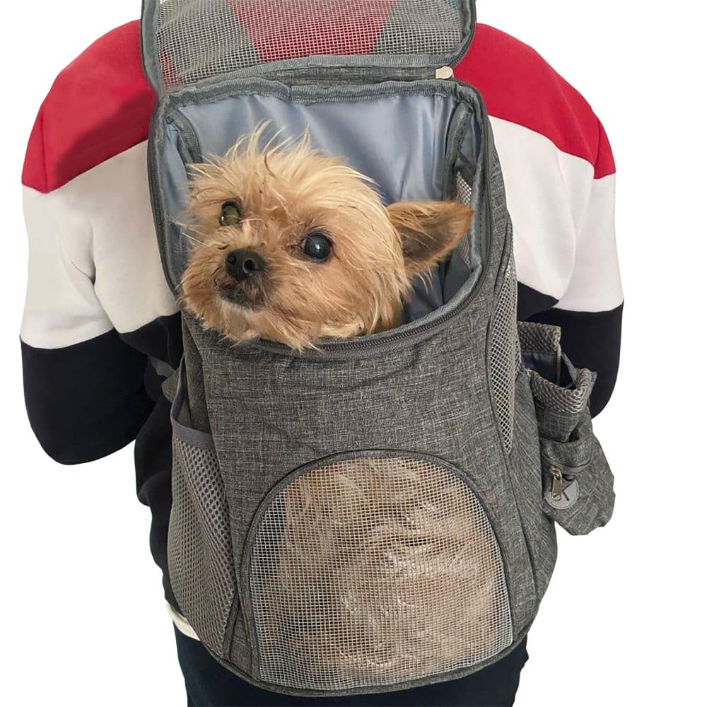Ergonomischer Hunde-Tragerucksack 2024 – Komfort und Sicherheit für unterwegs