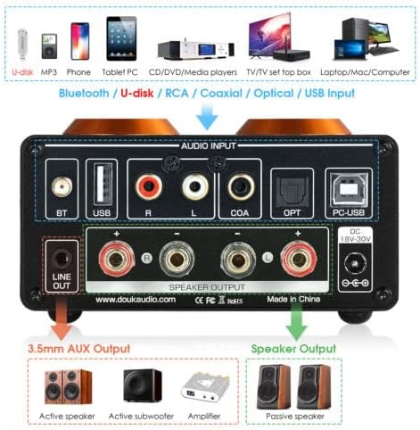 Douk Audio ST-01 PRO Amplificatore HiFi, Mini Amplificatore a Valvole da 200W con Bluetooth 5.0, VU Meter, Ingresso USB DAC Coassiale/Ottico (ST-01PRO)