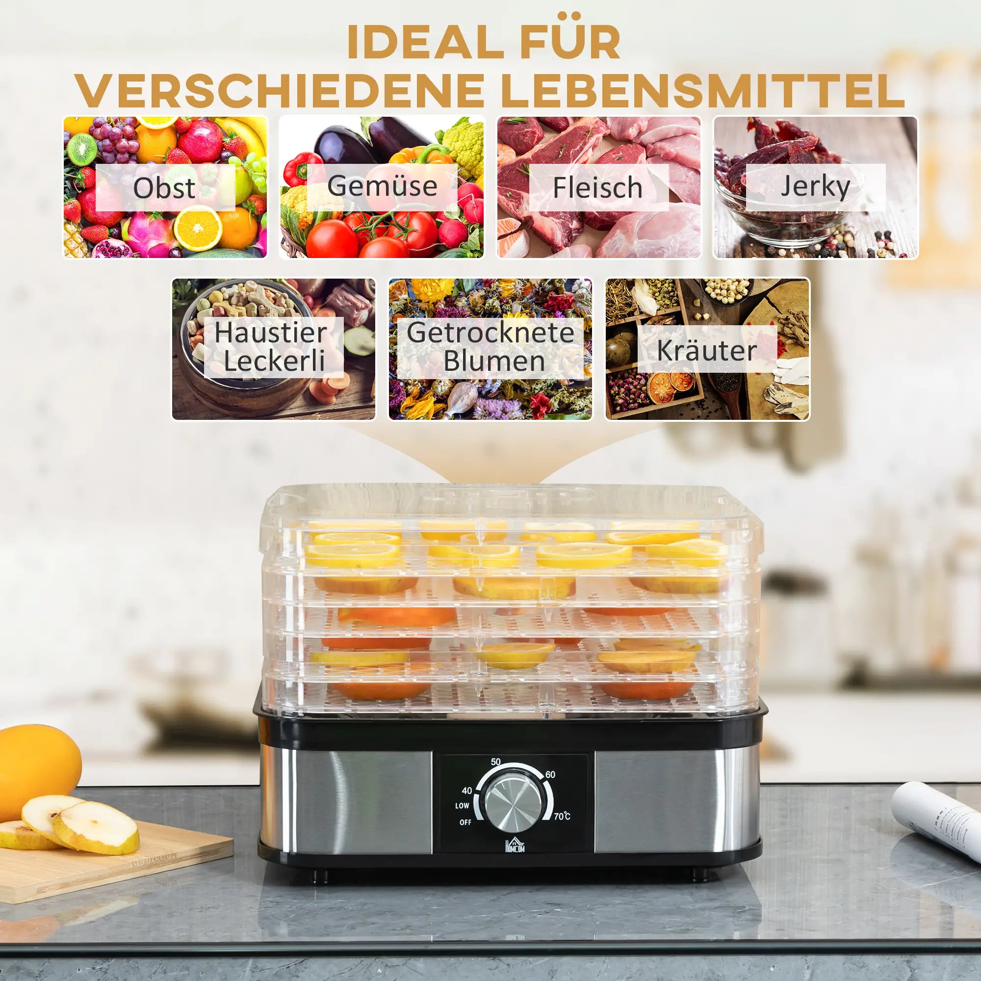 HOMCOM Essiccatore per Alimenti a 5 Livelli con Temperatura Regolabile in Acciaio Inox
