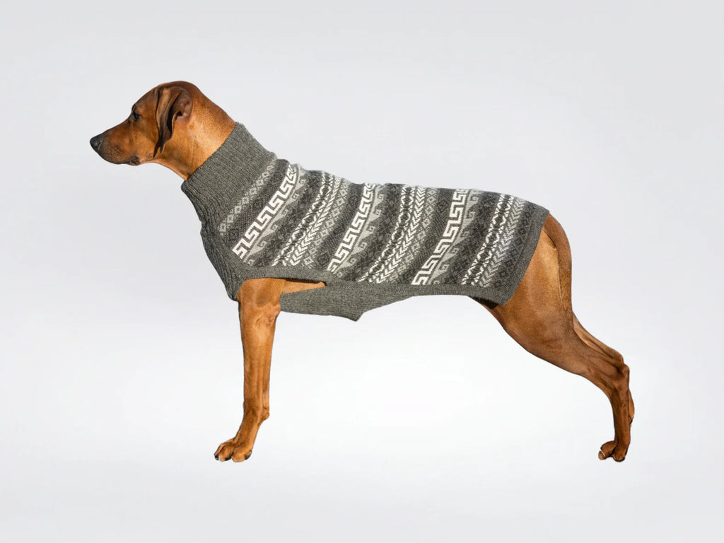 Pullover für Hunde: Himalaya