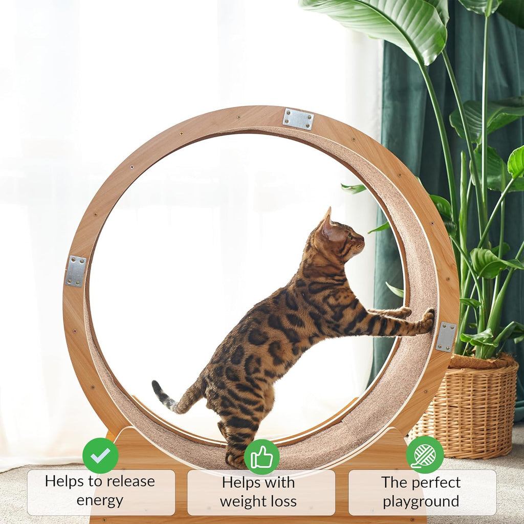 Ruota per gatti grande | Ruota per gatti | Tapis roulant per gatti | Ruota grande per gatti da interno | Giocattolo per l'attività del gatto | Ruota per gatti da interno | Ruota per gatti