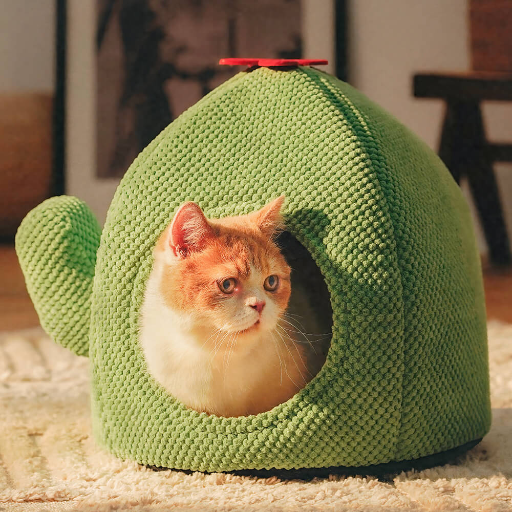 KatzenOase – Cestino a forma di cactus per ore di sonno accoglienti per i gatti