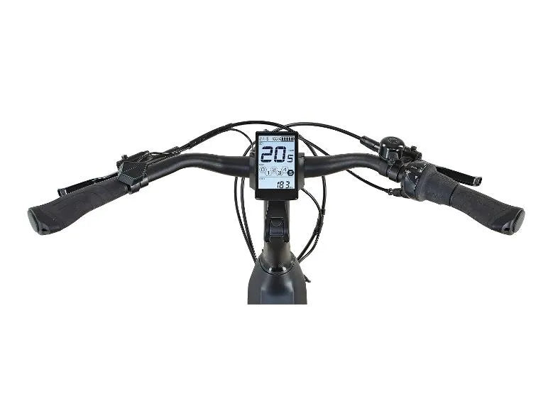 E-Bike Citybike »Geniesser 4.0«, 28 Zoll