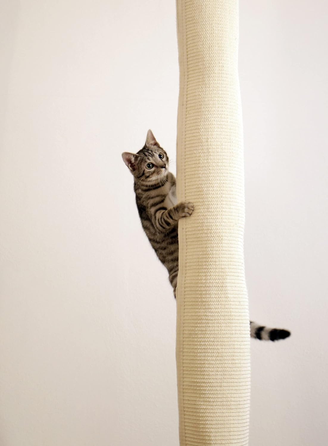 Kerbl Pet Climber Climbing Bag for Cats 16 x 16 x 240 cm