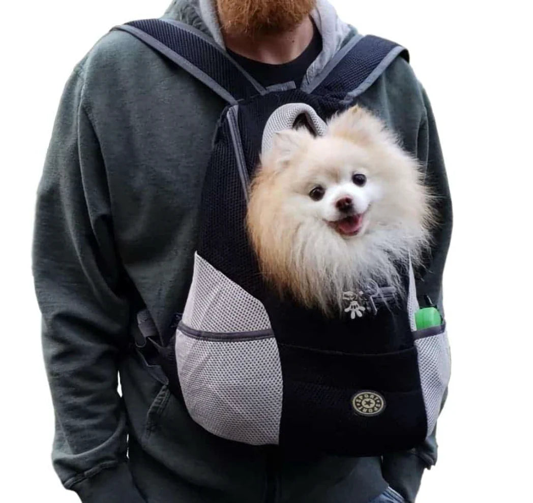 Verstellbarer Hunde-Tragerucksack für kleine & mittelgroe Hunde bis 11 kg – Komfort und Sicherheit unterwegs