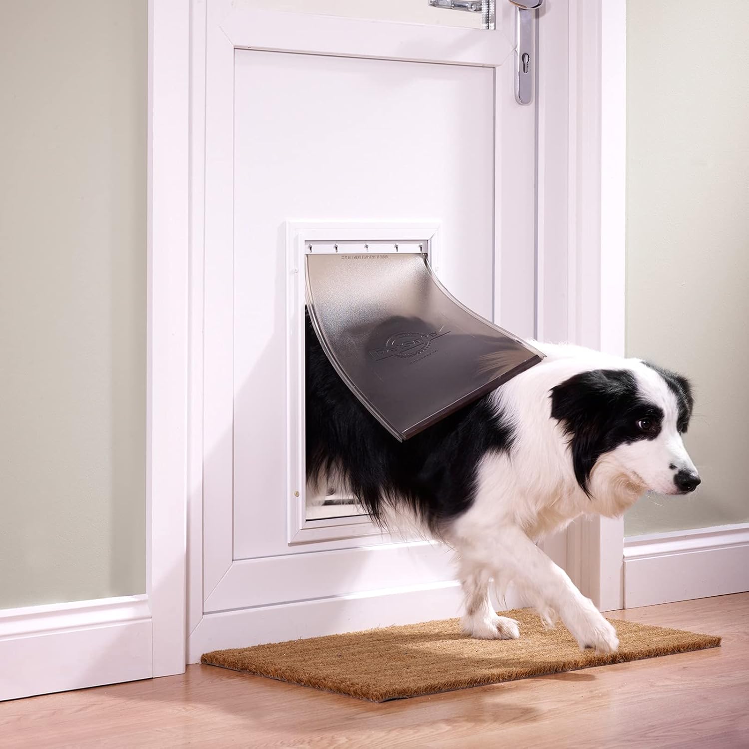 PetSafe Staywell Aluminium Hundeklappe, Langlebiger Aluminium-Rahmen, Magnetverschluss, Für Hunde bis 45 kg, Gre L
