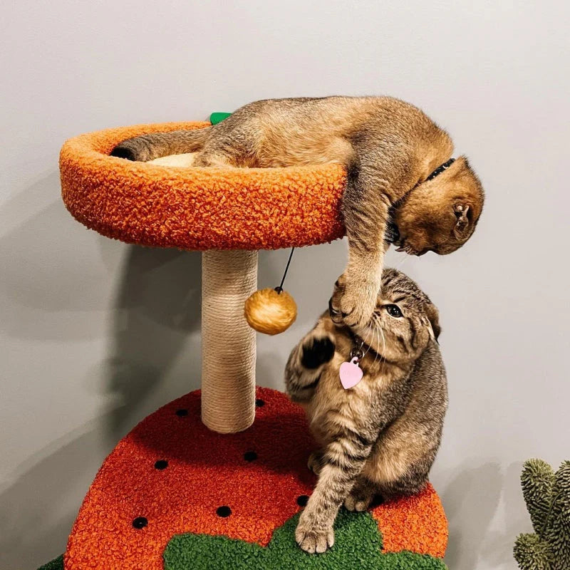 Albero Tiragraffi "Mondo della Frutta" – Un Paradiso per Gatti Giocherelloni