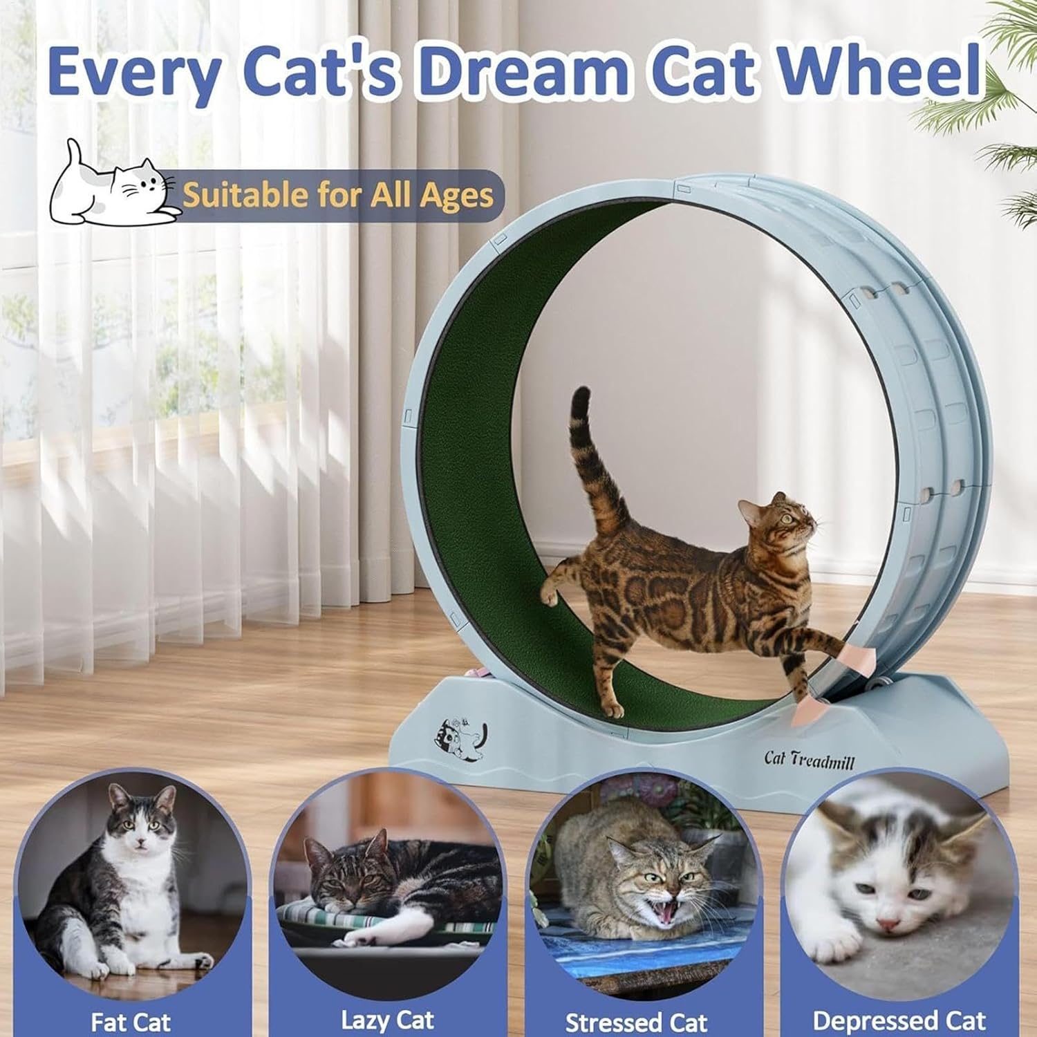 Eventerde Ruota per esercizi per gatti - Ruota per gatti | Attrezzatura da fitness per gattini | Ruota da corsa con teaser per gatti da interni per la perdita di peso, Tapis roulant per gattini a basso rumore