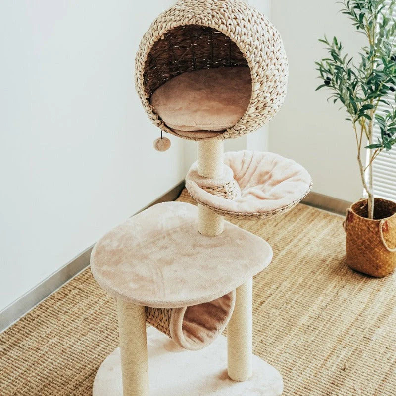 Vogelnest-Kratzbaum für Katzen – Der perfekte Ruhe- und Spielplatz für Ihre Katze