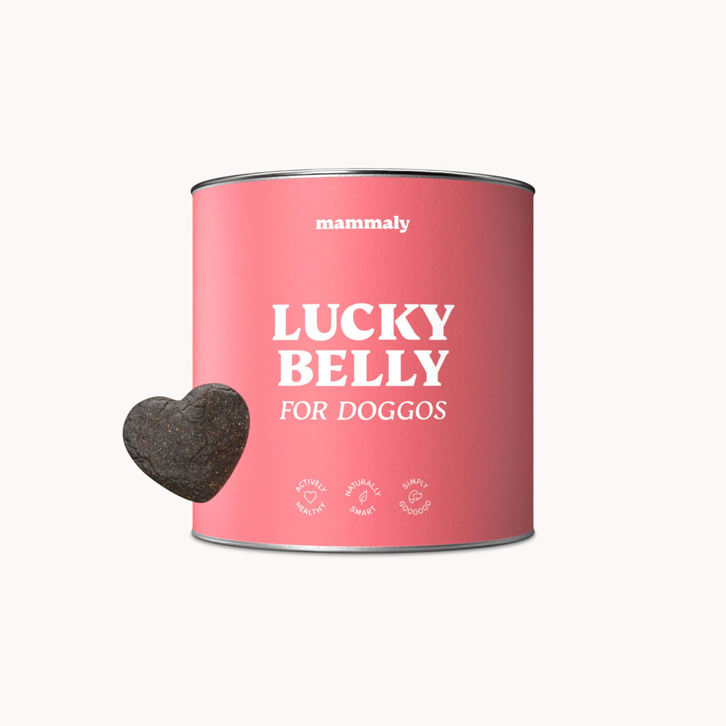 Lucky Belly