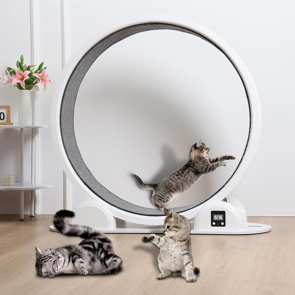 Utaxuper Ruota per gatti 110 cm ad energia solare con contatore Ruota gatti Ruota per gatti Cat Wheel per gatti piccoli gatti grandi interni Bianco