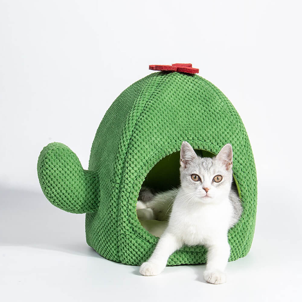 KatzenOase – Cestino a forma di cactus per ore di sonno accoglienti per i gatti