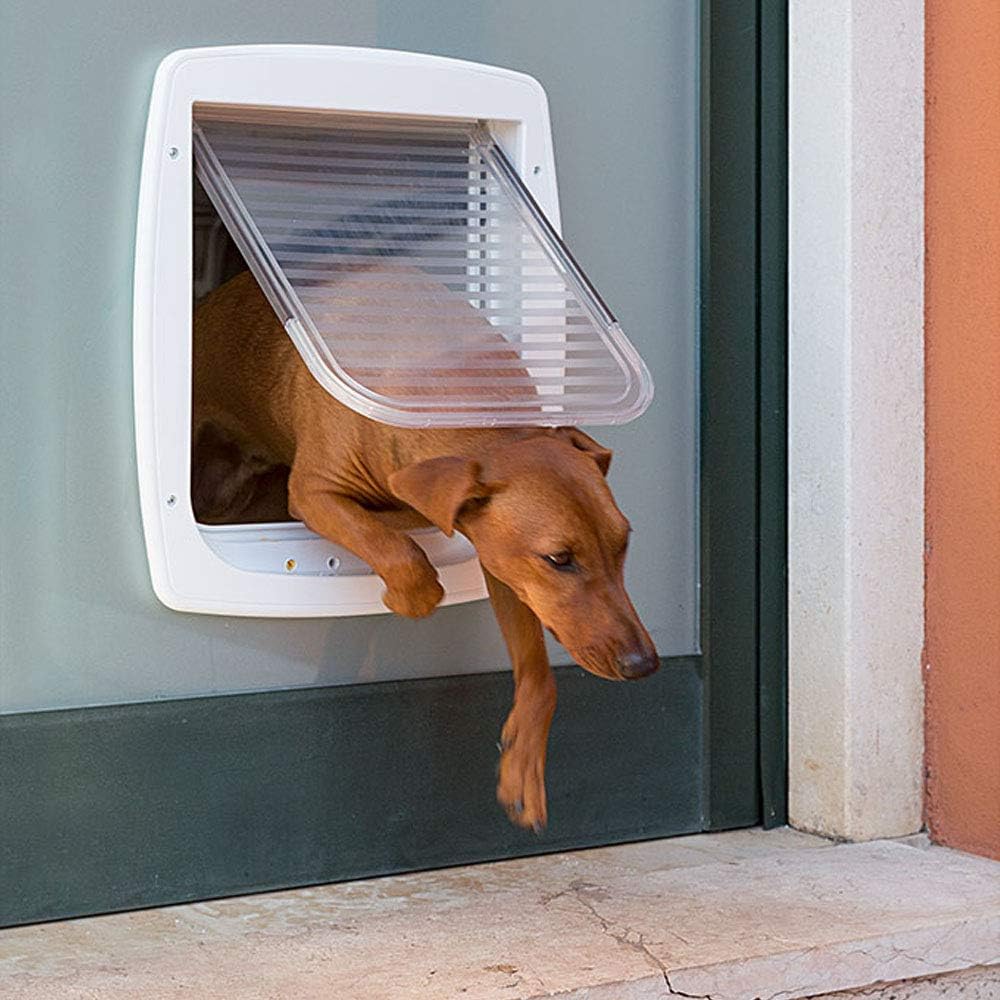 Ferplast Gattaiola per Cani di Taglia Media, Gattaiola per Gatti, Sportello per Animali Domestici a 4 Vie con Ingresso e Uscita Controllabili, con Protezione dalle Correnti d'Aria, Tunnel Completo, Sportello per Cani Swing 11, Grigio