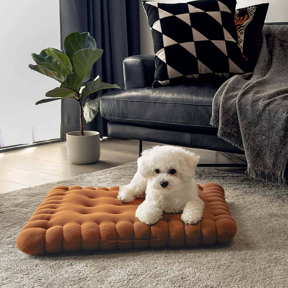Komfortables Hundebett – Keksform für stilvolles Schlafen