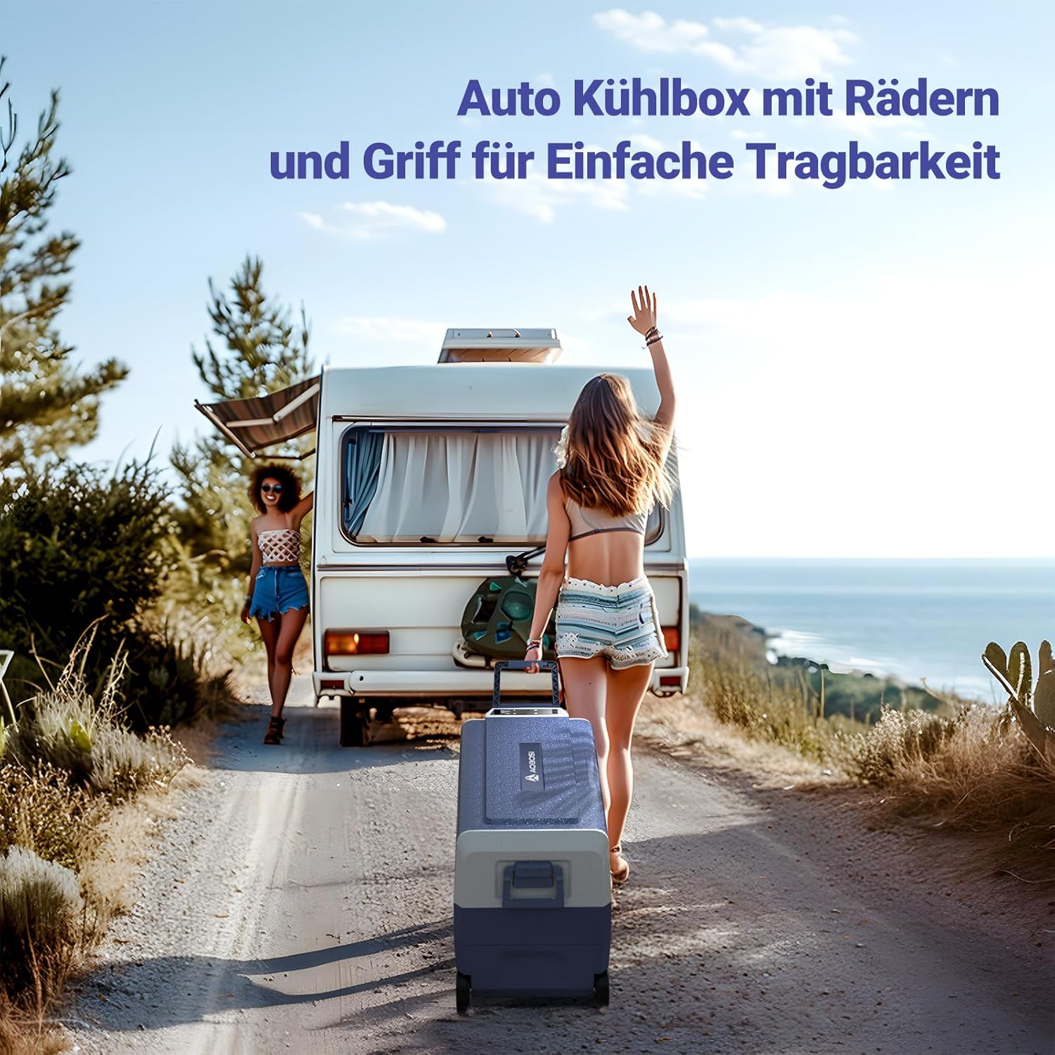 AAOBOSI Frigo Box a Compressore 36 L, Frigo Portatile per Auto con Controllo App WiFi, 12/24 V e 100-240 V, fino a -20 °C per Auto, Camion, Barca, Camper, Campeggio, Doppia Zona