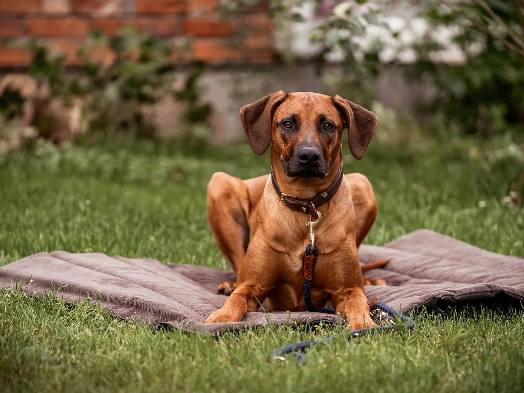 Skolan Outdoormatte