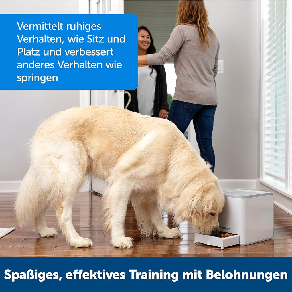 PetSafe Teach and Treat, distributore di premi per addestramento cani, telecomandato, per addestramento e rinforzo positivo, richiede 4 batterie D, grigio