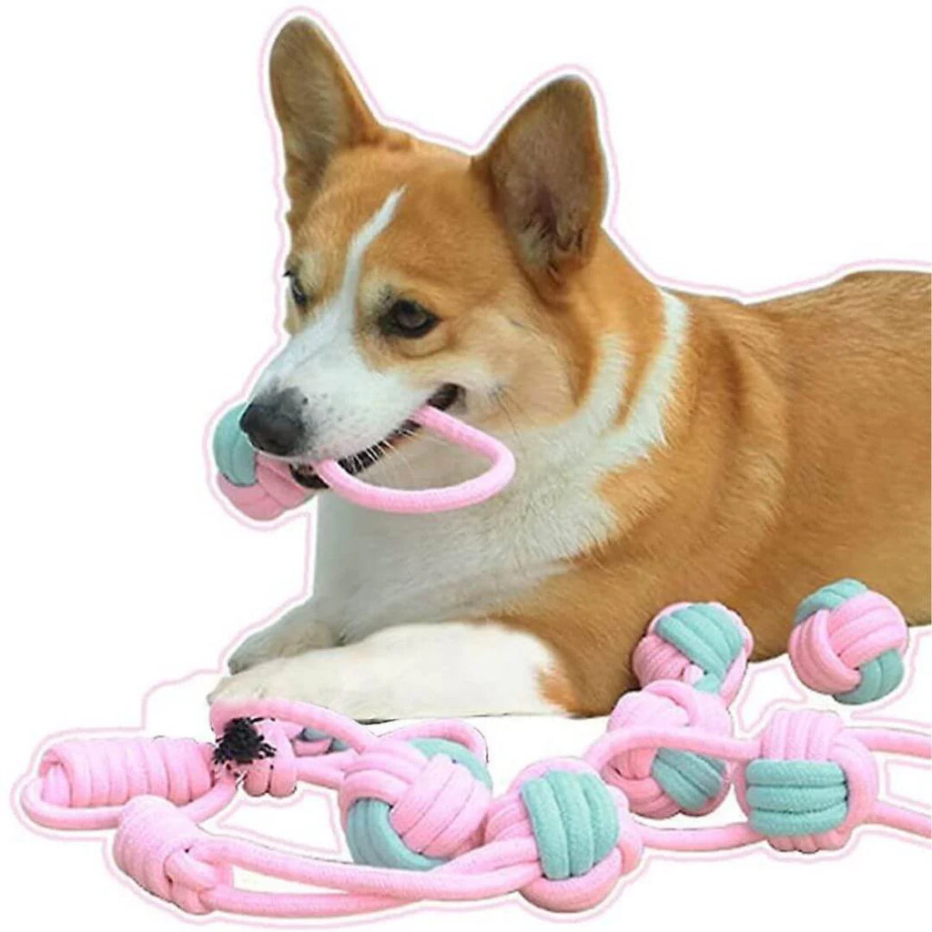 Set aus 6 Hundespielzeugen für gesunde Zhne – Robuste Kauspielzeuge für Hunde