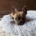 Komfortables, rundes Kuschelbett – Weiches Beruhigungsbett für Hunde