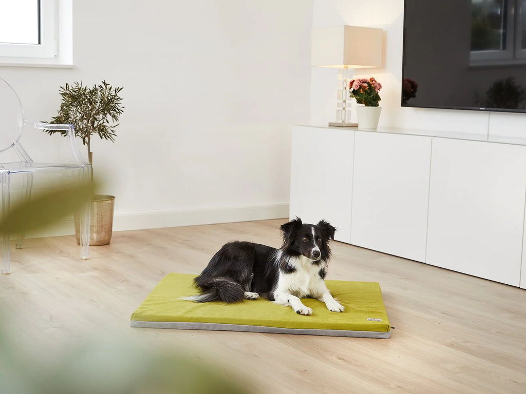 Tappeto per cani Jokkmokk Alltid