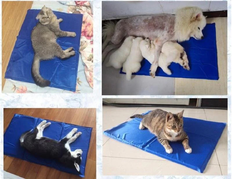 Kühlmatte für Katzen - Perfekte Sommerfrische für Ihre Katze