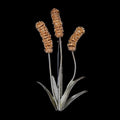 Napiergras - Brosche