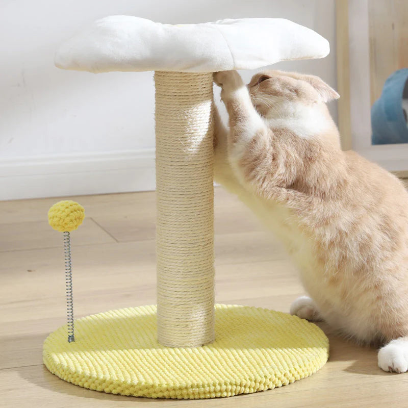 Ei Serie Katzenspiel- und Ruheplatz – Die perfekte Kombination für Ihre Katze