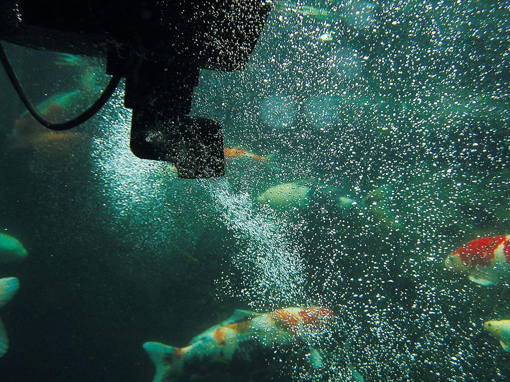 Oase 50170 SwimSkim CWS & Söll 14432 FilterstarterBakterien hochreine Mikroorganismen für Teiche 500 g - natürliche Filterbakterien aktivieren die Biologie der Filter im Gartenteich
