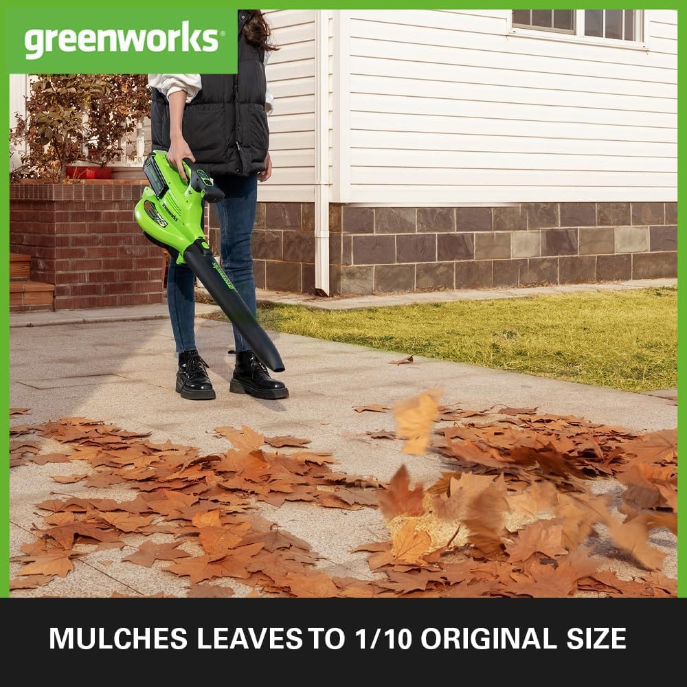 Greenworks 40V Soffiatore Assiale a Batteria con Cruise Control, 177 km/h, 11,05 m³/min, Sacco di Raccolta da 45L, due Batterie da 2Ah e Caricabatterie, 3 Anni di Garanzia GD40BVK2X