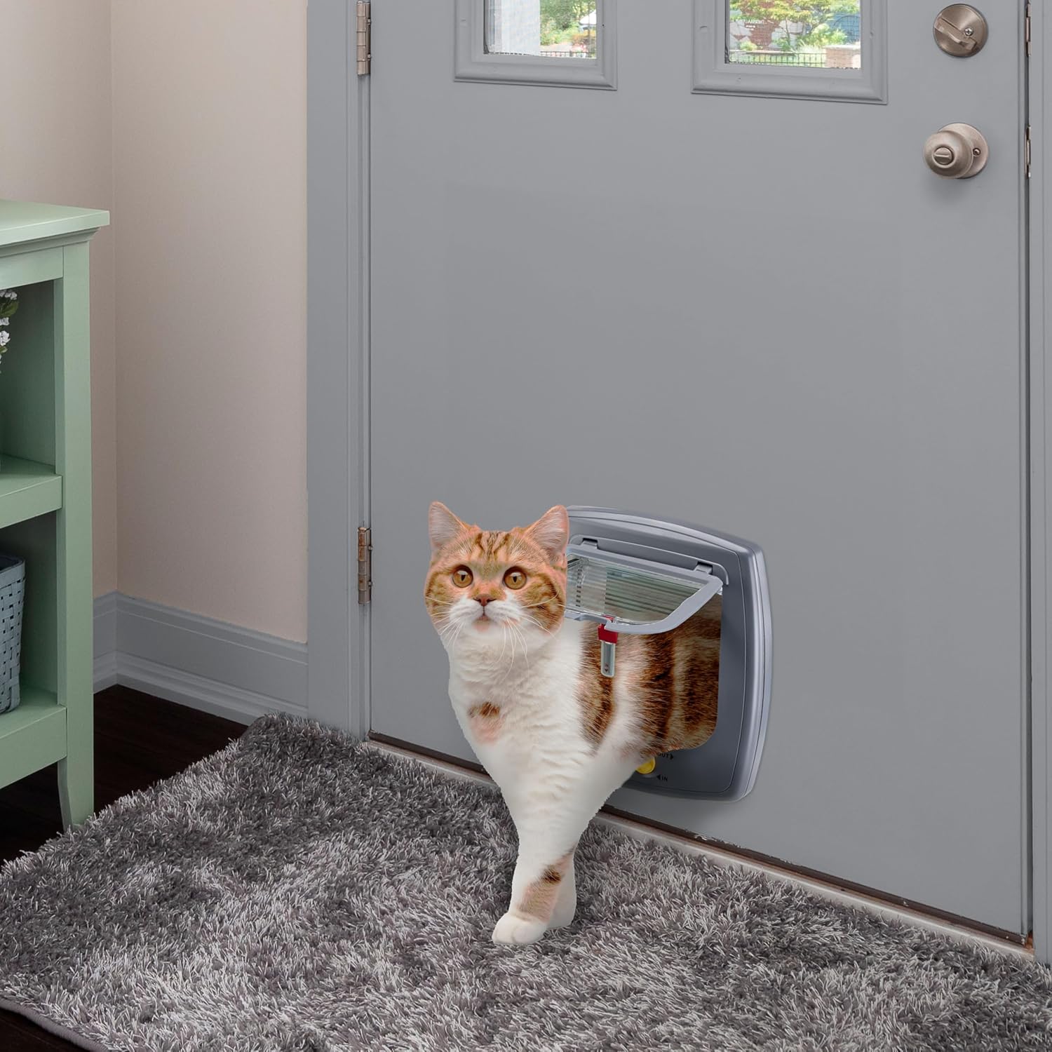 Ferplast Gattaiola per Cani di Taglia Media, Gattaiola per Gatti, Sportello per Animali Domestici a 4 Vie con Ingresso e Uscita Controllabili, con Protezione dalle Correnti d'Aria, Tunnel Completo, Sportello per Cani Swing 11, Grigio