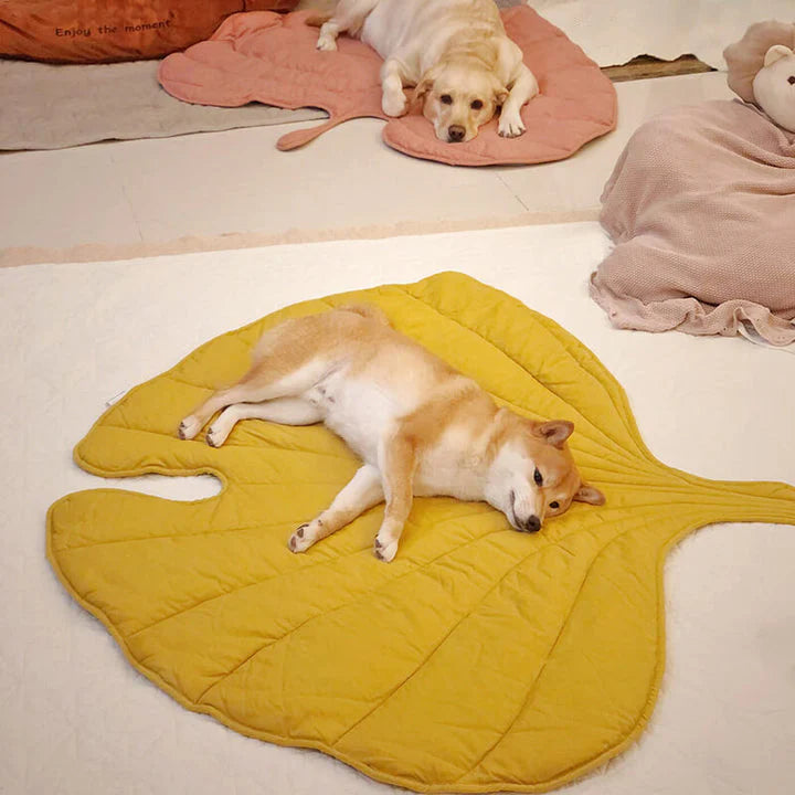 Pip | Coperta soffice per cani