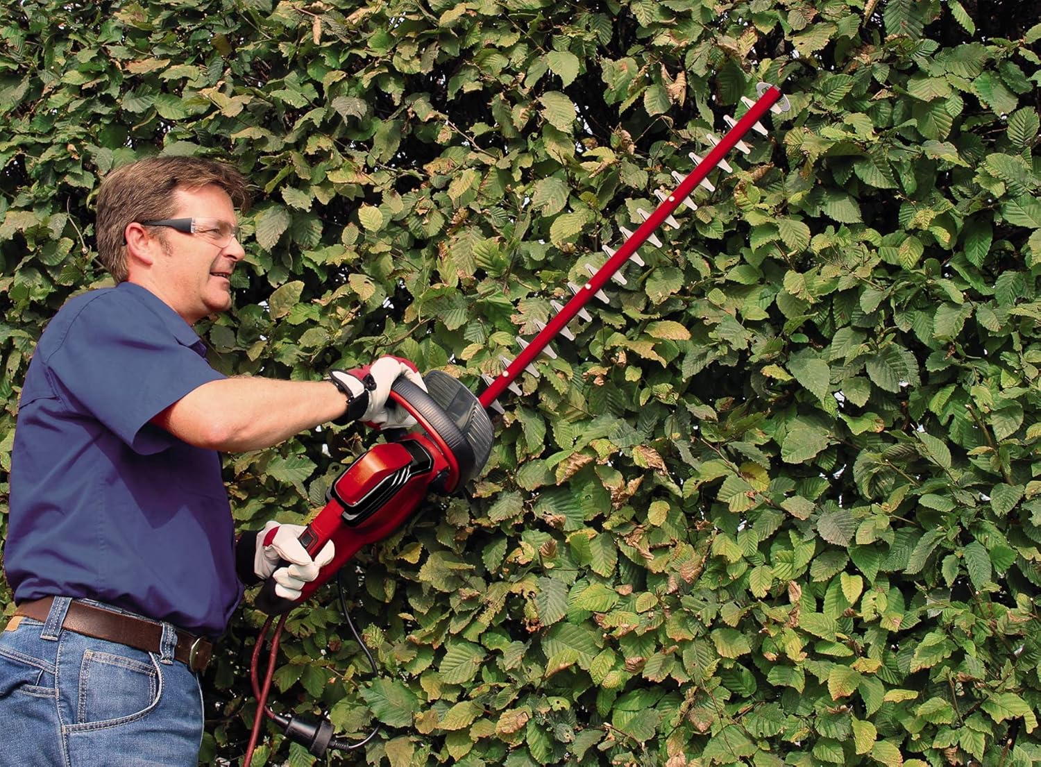 Einhell Tagliasiepi elettrico GE-EH 6560 (650 W, lama in acciaio tagliato e levigato al diamante, ingranaggi in metallo, protezione antiurto, incl. custodia)